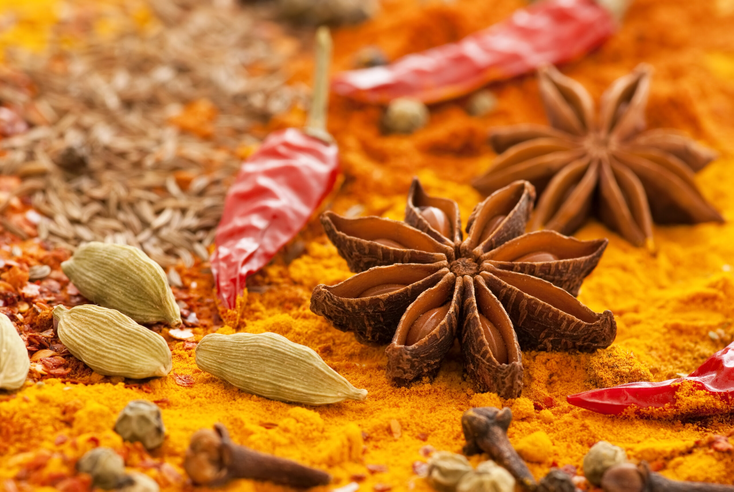 Discovering Exotic Spices: Adding Flavor to Your Dishes