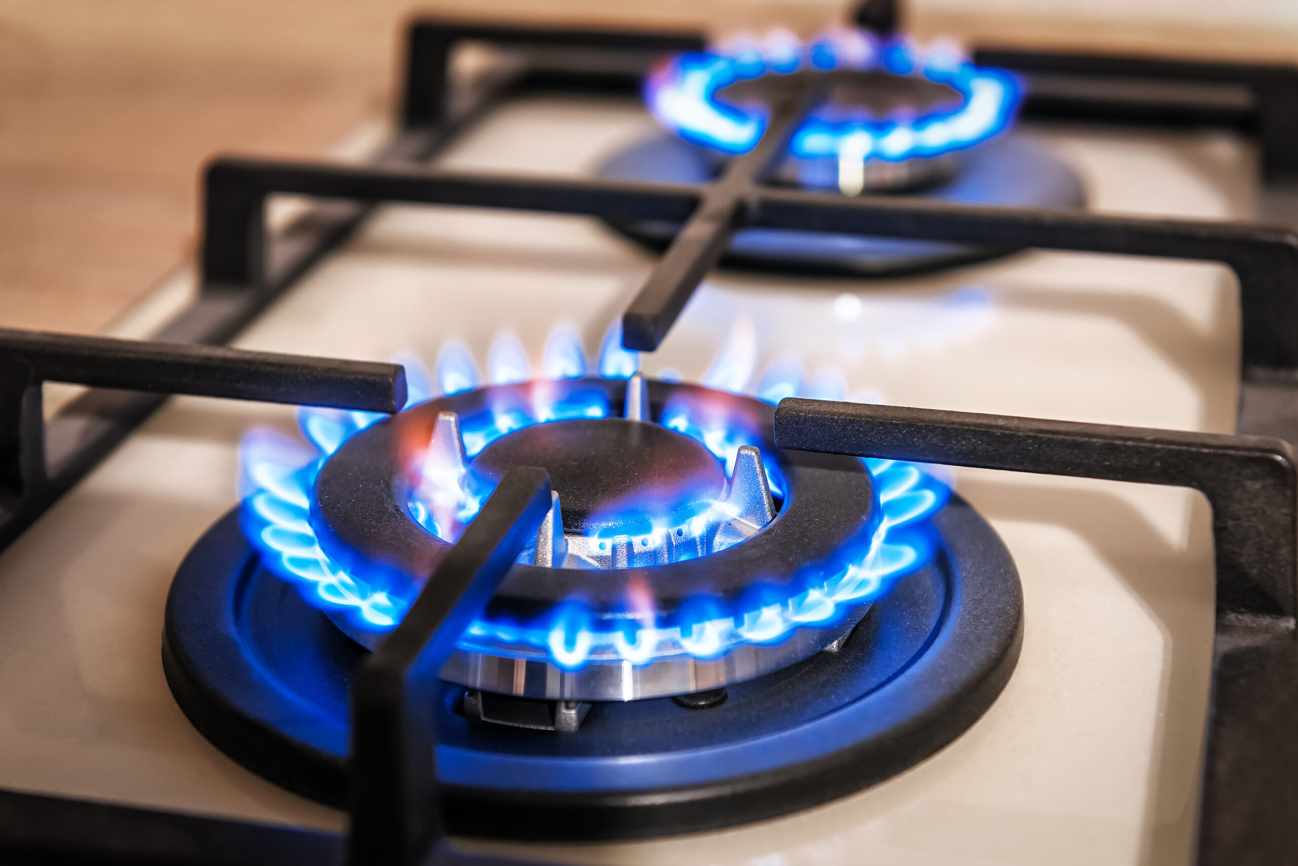 The Burning Question: Gas or Electric Stoves? 